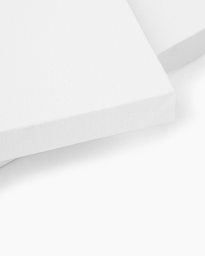 Camel Stretched Canvas 8X10 inch 1 PC