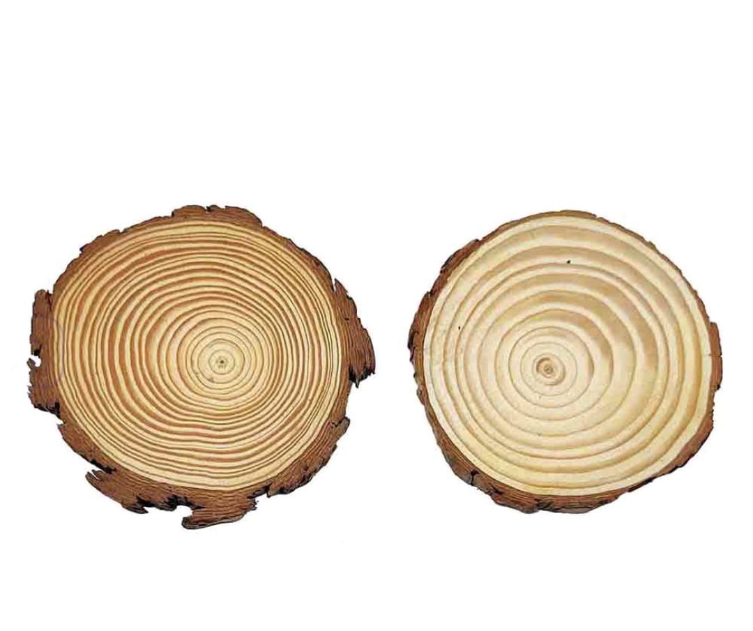 Wooden Slice Round 12-13*1CM 1pc (wsr1213)